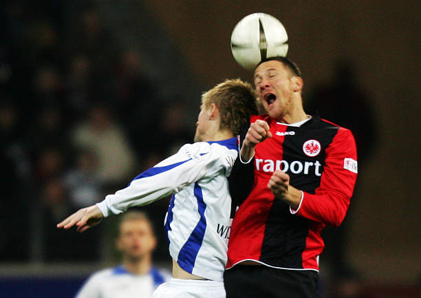 许多资深教 许多资深教