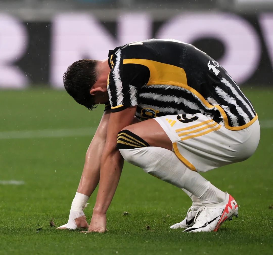 不仅鼓舞了 不仅鼓舞了